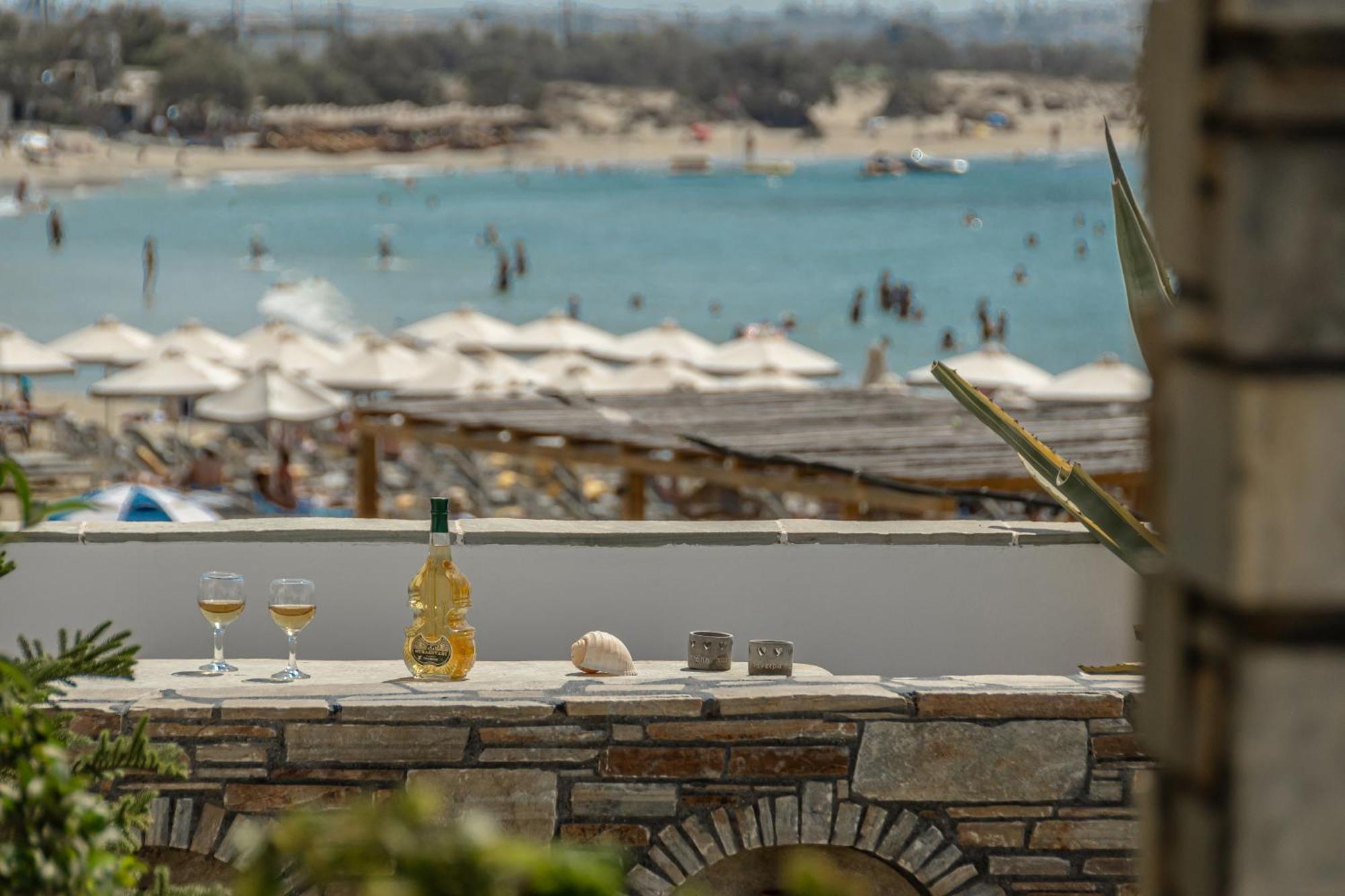 夏季时代一室公寓 Naxos City 外观 照片